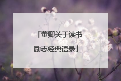 董卿关于读书励志经典语录