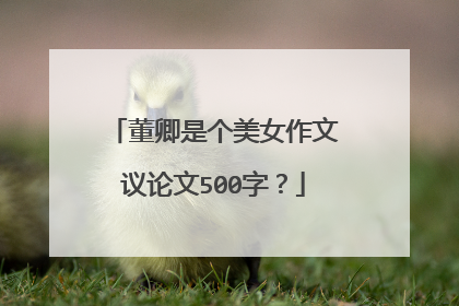 董卿是个美女作文议论文500字？