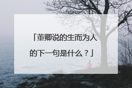 董卿说的生而为人的下一句是什么?