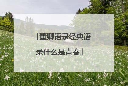 董卿语录经典语录什么是青春