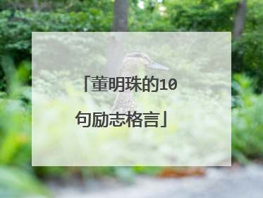 董明珠的10句励志格言