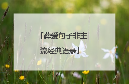 葬爱句子非主流经典语录