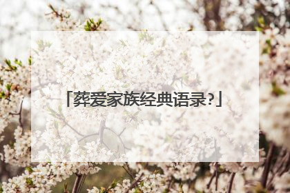 葬爱家族经典语录?