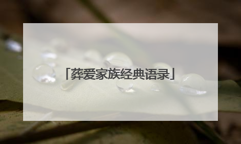 葬爱家族经典语录