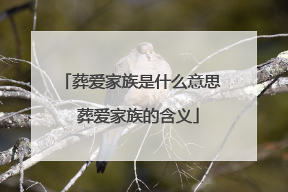 葬爱家族是什么意思 葬爱家族的含义