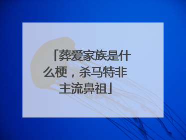 葬爱家族是什么梗,杀马特非主流鼻祖