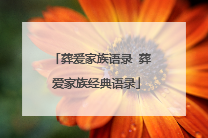 葬爱家族语录 葬爱家族经典语录