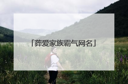 葬爱家族霸气网名