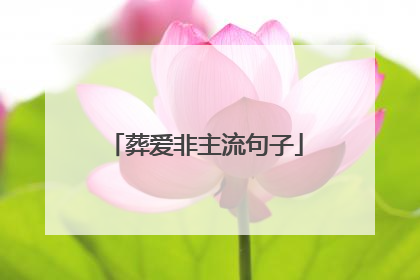 葬爱非主流句子