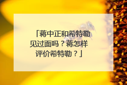 蒋中正和希特勒见过面吗？蒋怎样评价希特勒？