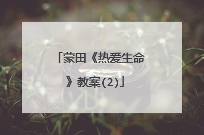 蒙田《热爱生命》教案(2)