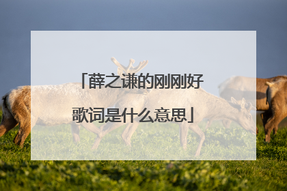 薛之谦的刚刚好歌词是什么意思