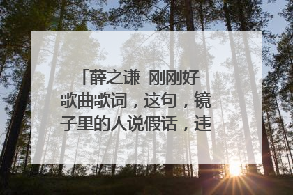 薛之谦 刚刚好 歌曲歌词，这句，镜子里的人说假话，违心的样子你决定了吗？什么意思啊？