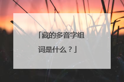 藏的多音字组词是什么？