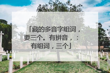 藏的多音字组词,要三个。有拼音,:有组词,三个