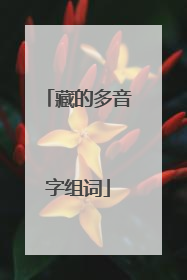 藏的多音字组词