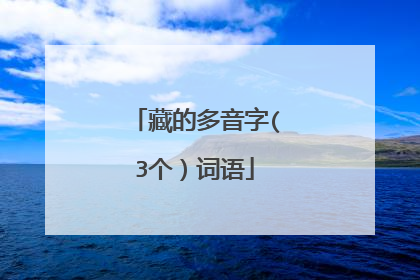 藏的多音字(3个）词语