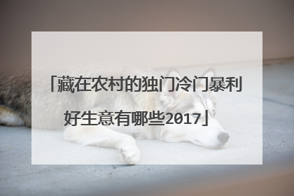 藏在农村的独门冷门暴利好生意有哪些2017