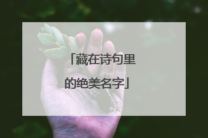 藏在诗句里的绝美名字