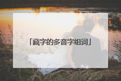 藏字的多音字组词