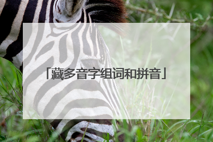 藏多音字组词和拼音