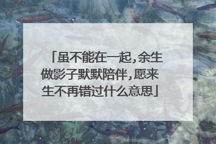 虽不能在一起,余生做影子默默陪伴,愿来生不再错过什么意思