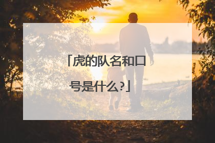 虎的队名和口号是什么?