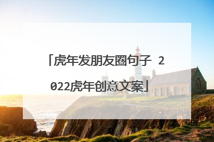 虎年发朋友圈句子 2022虎年创意文案