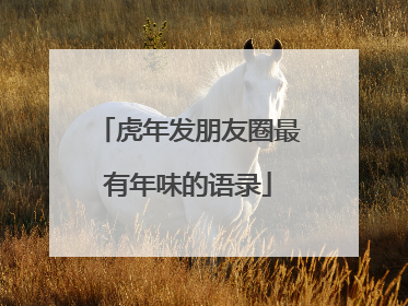 虎年发朋友圈最有年味的语录