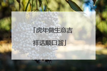 虎年做生意吉祥话顺口溜