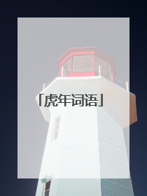虎年词语