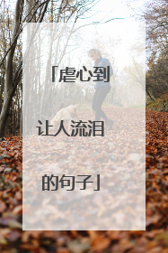 虐心到让人流泪的句子