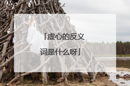 虚心的反义词是什么呀