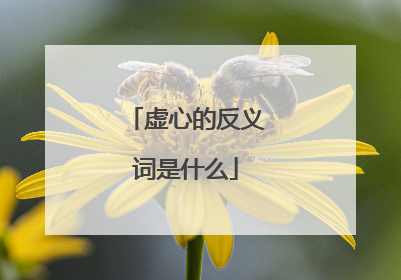 虚心的反义词是什么