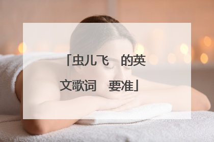 虫儿飞　的英文歌词　要准