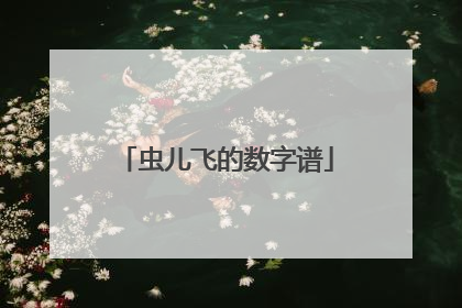 虫儿飞的数字谱