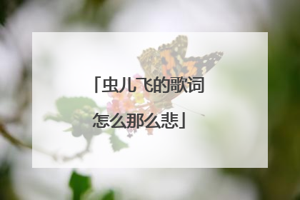虫儿飞的歌词怎么那么悲