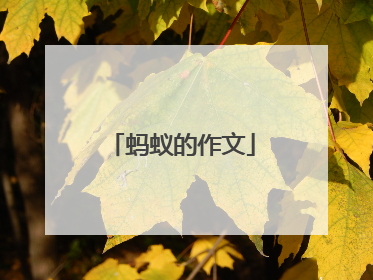 蚂蚁的作文