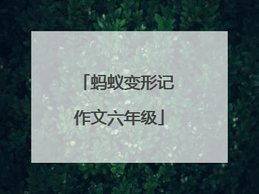蚂蚁变形记作文六年级
