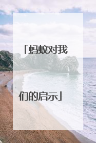 蚂蚁对我们的启示