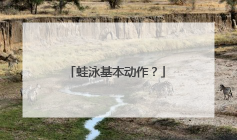 蛙泳基本动作？