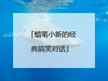 蜡笔小新的经典搞笑对话