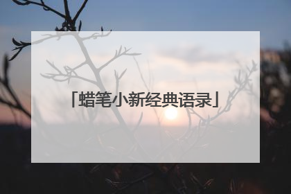 蜡笔小新经典语录