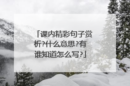 课内精彩句子赏析?什么意思?有谁知道怎么写?