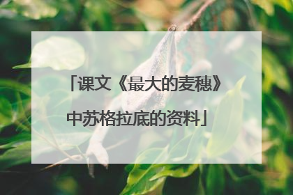 课文《最大的麦穗》中苏格拉底的资料