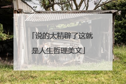 说的太精辟了这就是人生哲理美文
