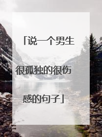 说一个男生很孤独的很伤感的句子