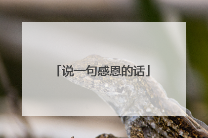 说一句感恩的话