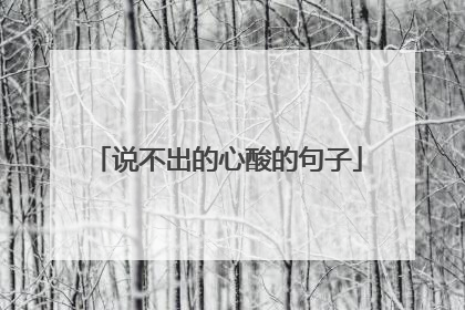 说不出的心酸的句子
