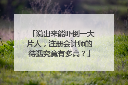 说出来能吓倒一大片人，注册会计师的待遇究竟有多高？
